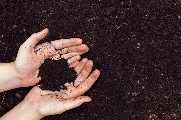 composted cow dung fertilizer from YUSHUNXIN compost machines