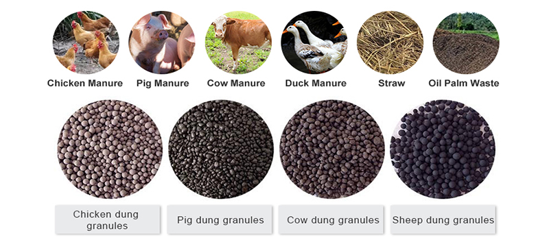Fertilizer granules produced by animal manure