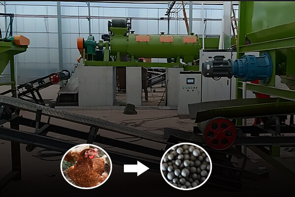 Chicken Manure Fertilizer Granulation Line in the U.S.