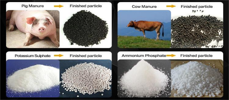 Granules produced by wet granulating equipment