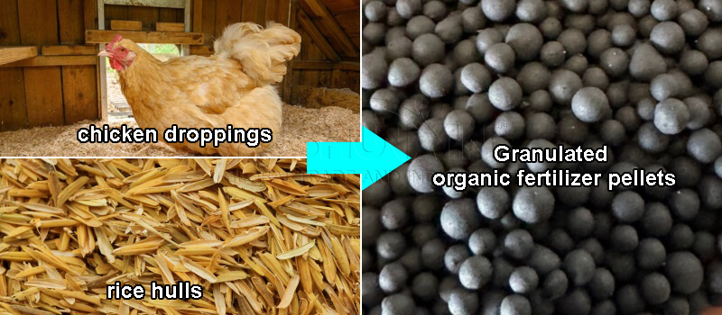 making organic fertilizer pellets from chicken droppings and rice hulls