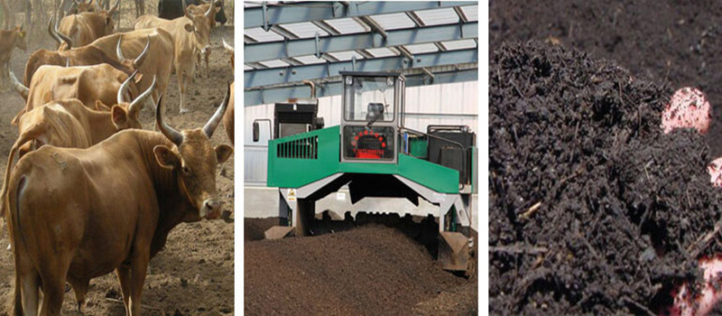 Cow dung manure fertilizer aerobic fermentation product