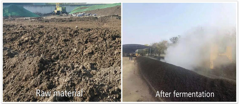 Cow dung fertilizer compost making effect