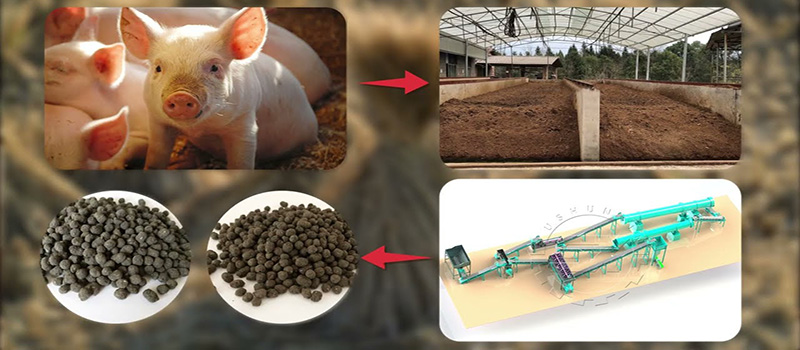 Pig manure organic fertilizer production
