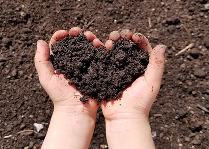 Organic waste compost making effect