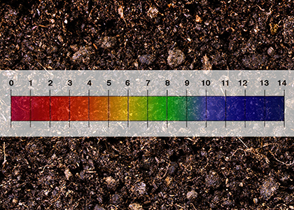 PH adjustment of horse manure fertilizer composting