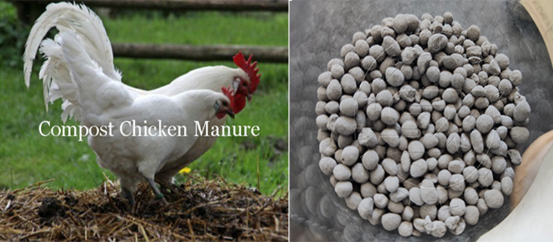 Chicken manure fertilizer granules making