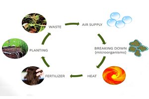 Organic fertilizer composting principle in aerobic fermentation