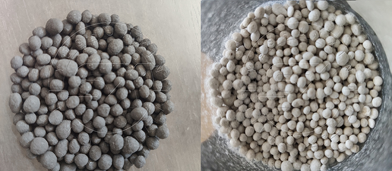 Organic fertilizer pellets produced by rotary drum granulator