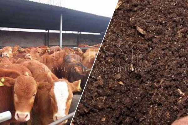 How to decompose cow manure fast