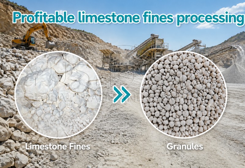 Profitable limestone fines processing plan