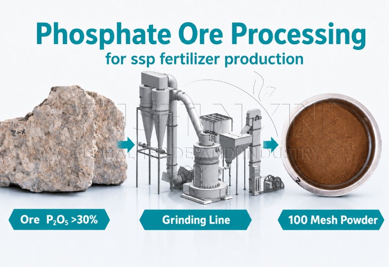 phosphate ore processing for for ssp fertilizer production